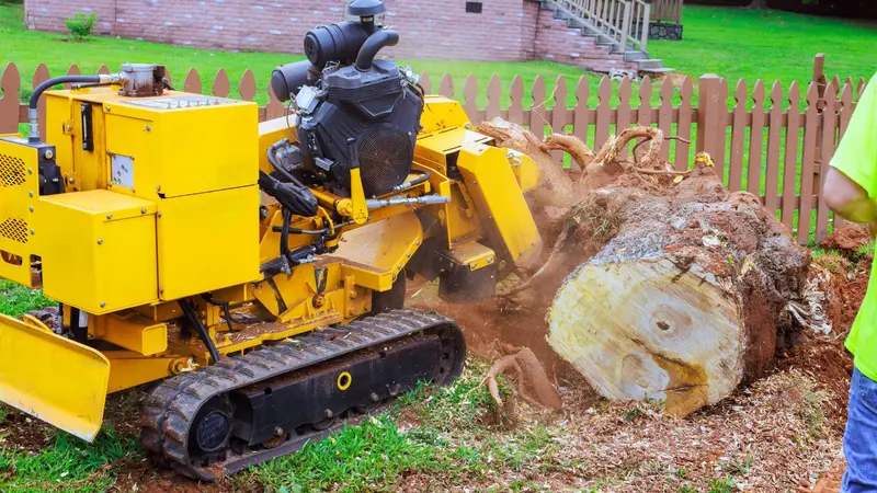 Large tracked stump grinder on residential lawn in Aurora