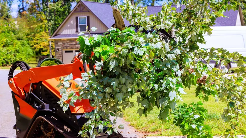 Wood chipper processing tree branches during removal project